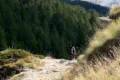 Svizzera